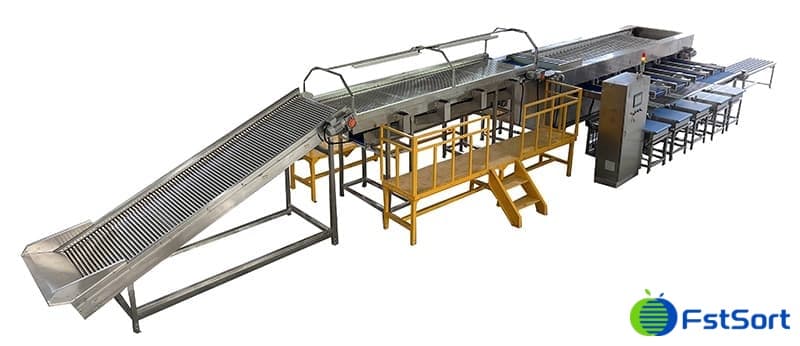 آلة فرز وتعبئة العناب.jpg